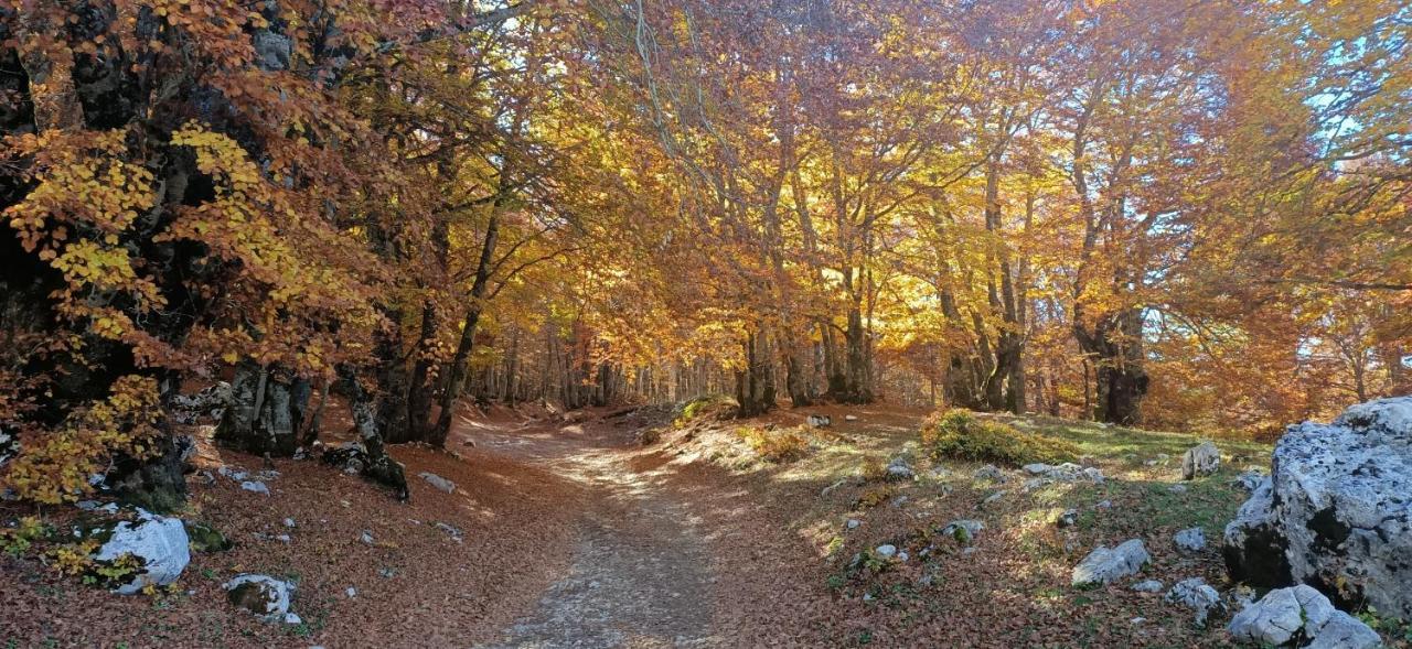 La Pigna Sbarazzina Apartamento Rocca di Cambio Exterior foto